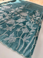 Tissue organza Saree/ RKF03