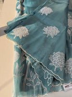 Tissue organza Saree/ RKF03
