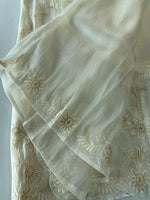 Tissue Organza Saree/ RKF04