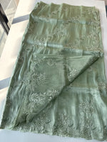 Tissue Organza Saree/ RKF04