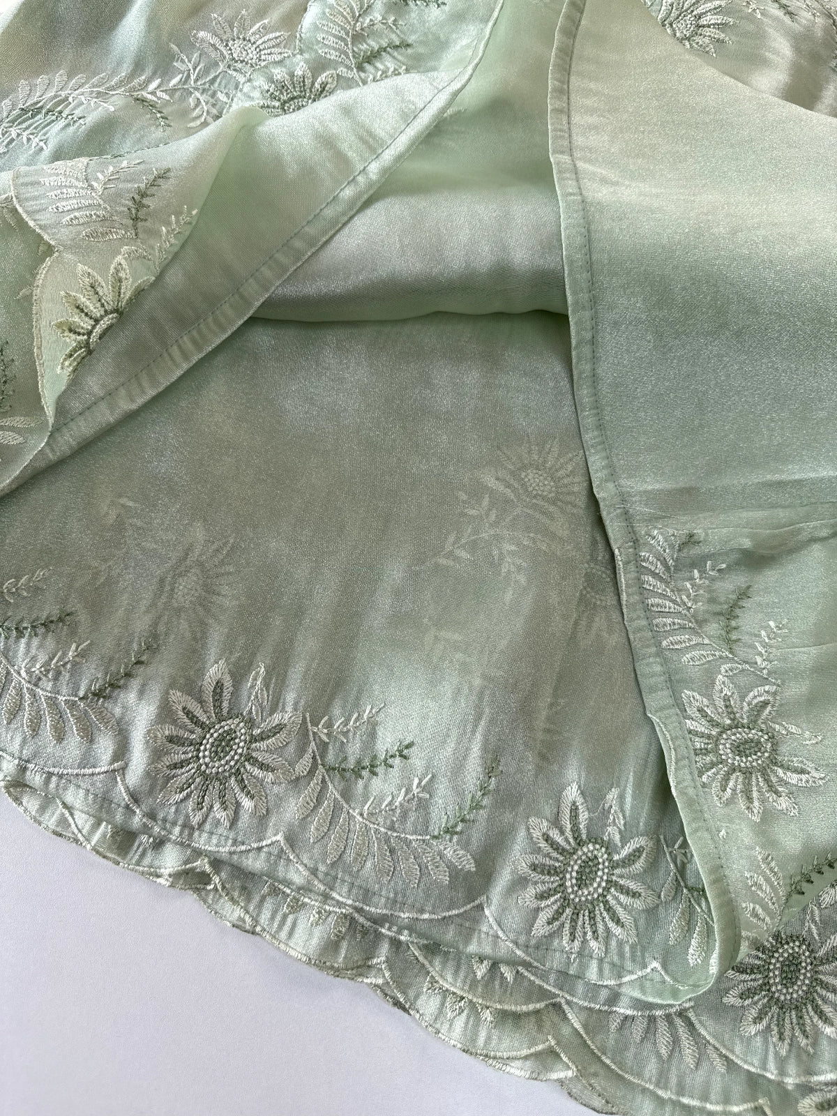 Tissue Organza Saree/ RKF04
