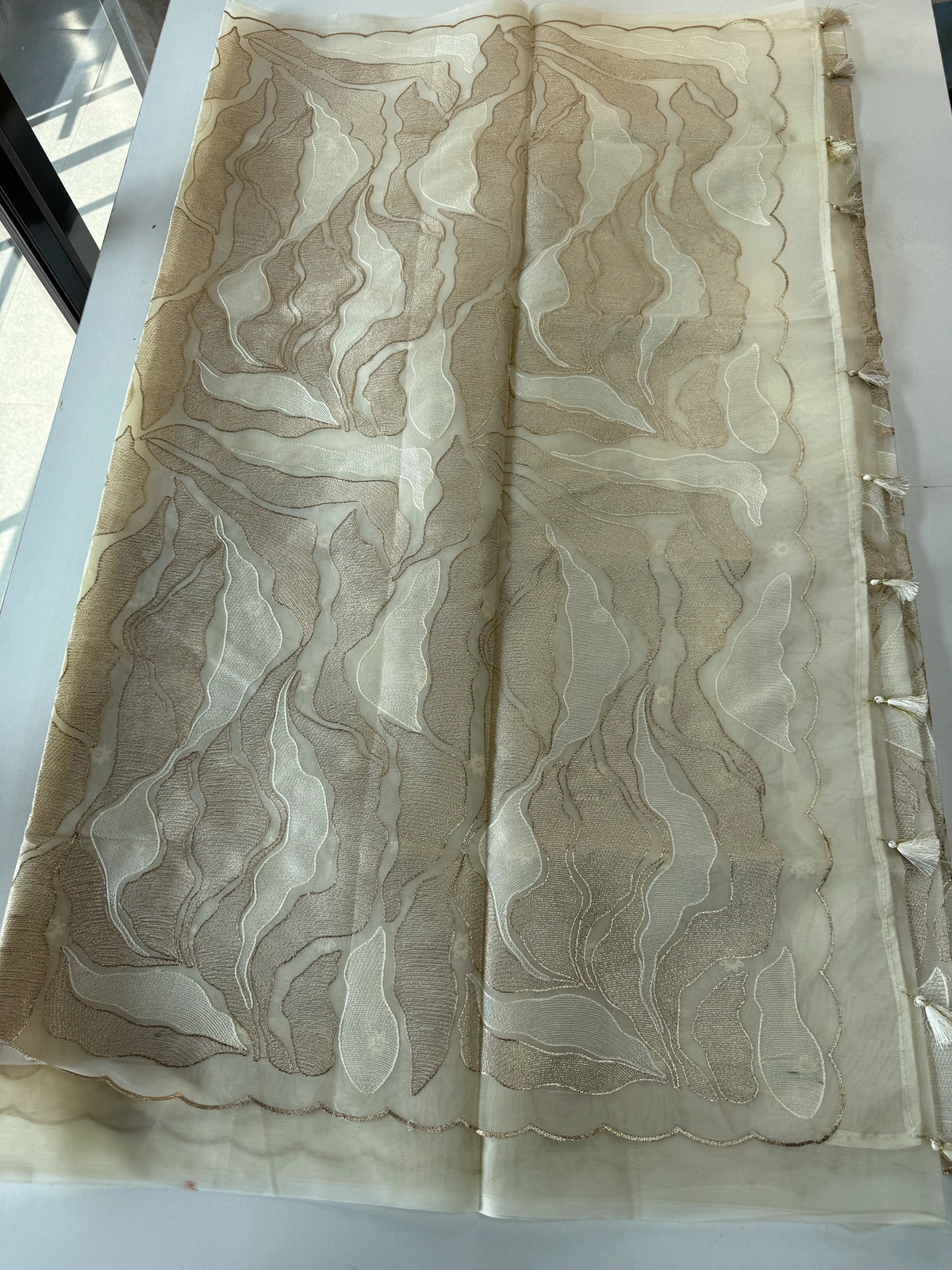 Organza Saree/ 839A