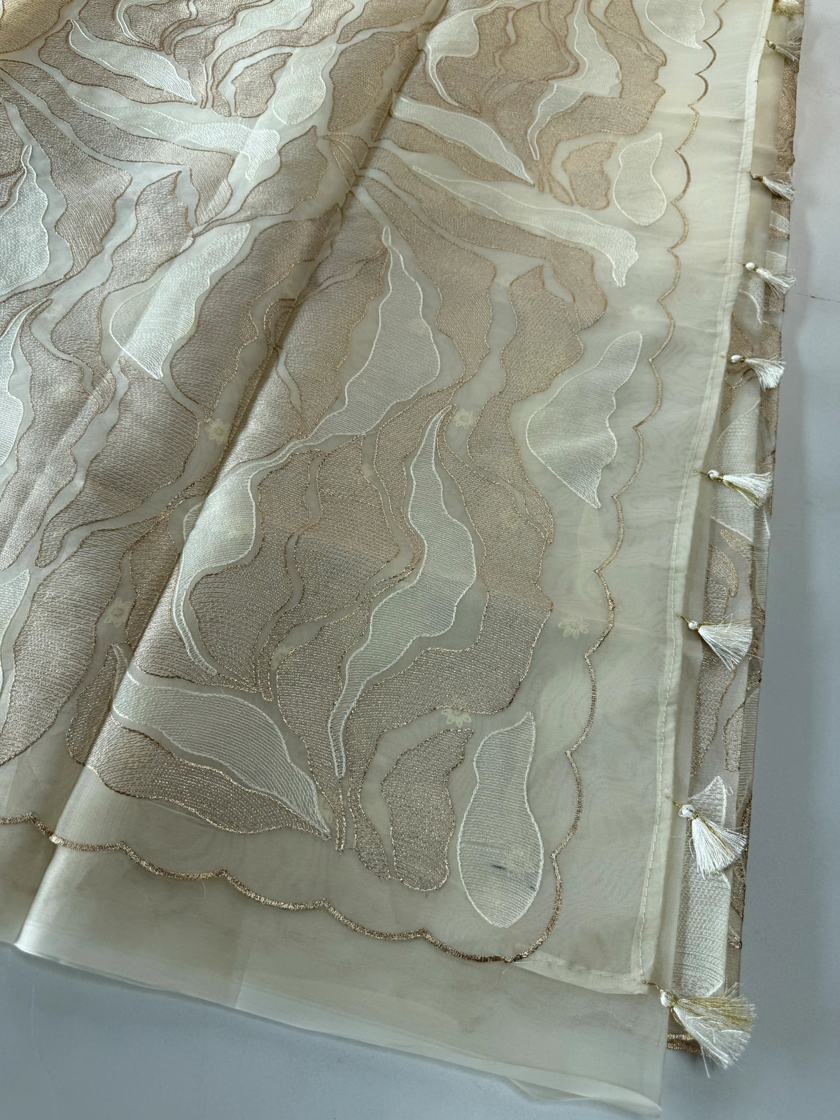 Organza Saree/ 839A