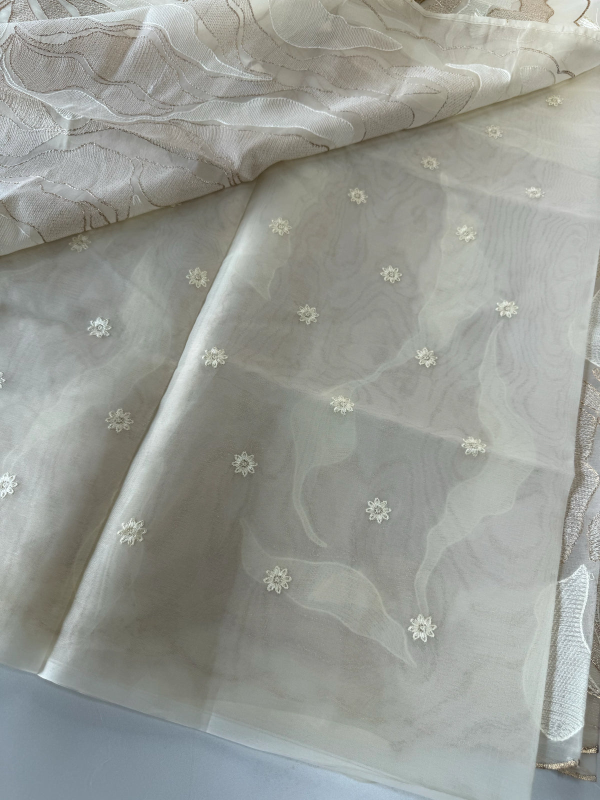 Organza Saree/ 839A