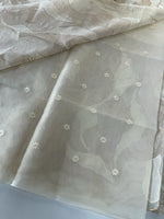 Organza Saree/ 839A