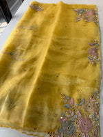 Glass Organza Saree/ SA007