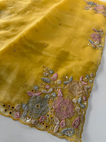 Glass Organza Saree/ SA007