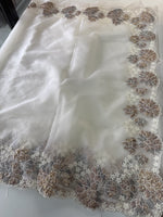 Soft Organza Saree/ CW287