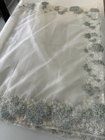 Soft Organza Saree/ CW287