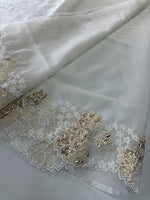 Soft Organza Saree/ CW287