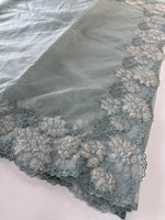 Soft Organza Saree/ CW287
