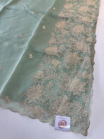Chanderi Tissue Blend saree design 3/ RF54