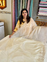 Soft organza party wear Saree/ HW115