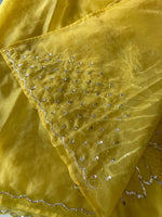 Soft Organza Saree / HW096