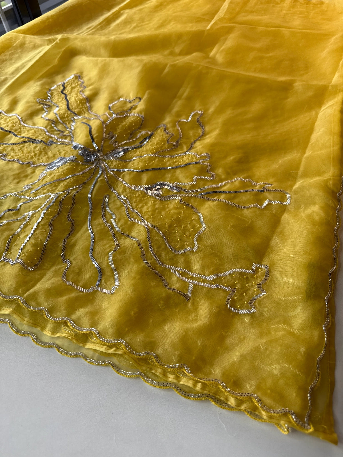 Soft Organza Saree / HW096