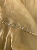 Tissue Georgette Saree/ 9116