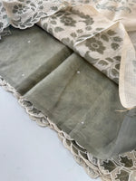 Silky Kotta / RH299