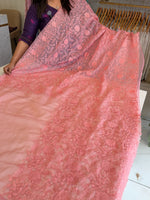 Soft Organza Saree/ CW775