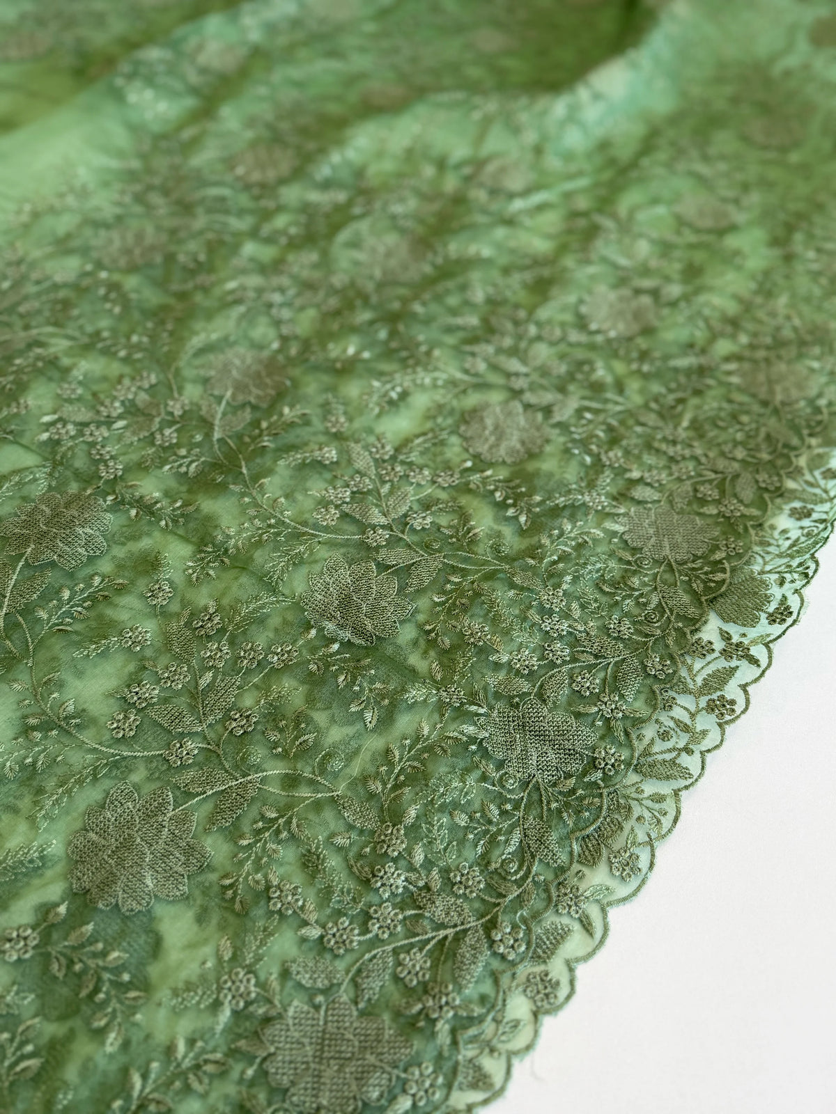 Soft Organza Saree/ CW775