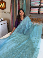 Soft Organza Saree/ CW775