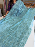 Soft Organza Saree/ CW775