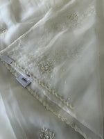 Glass organza saree/ AM109