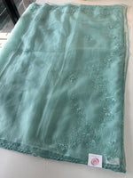 Glass organza saree/ AM109