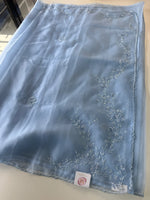 Glass organza saree/ AM109