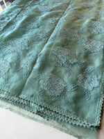 Soft Organza wit appliqué work / CW06