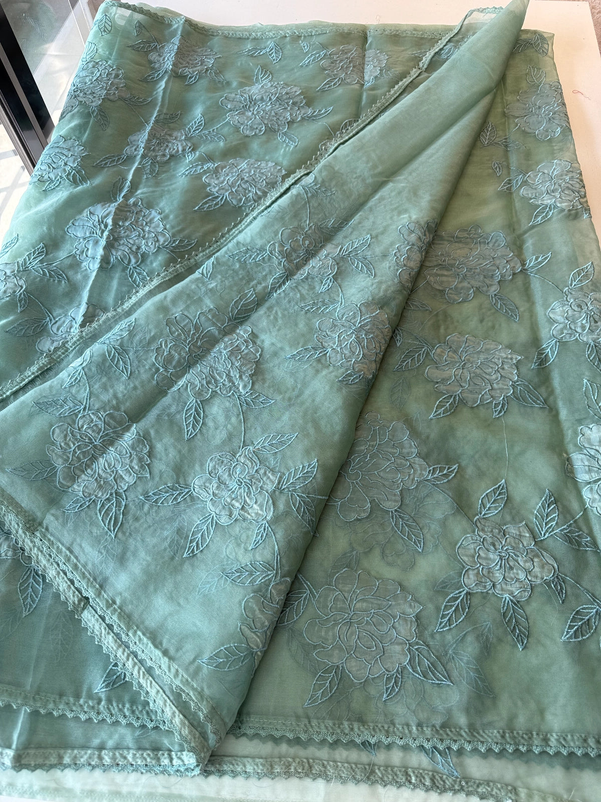 Soft Organza wit appliqué work / CW06