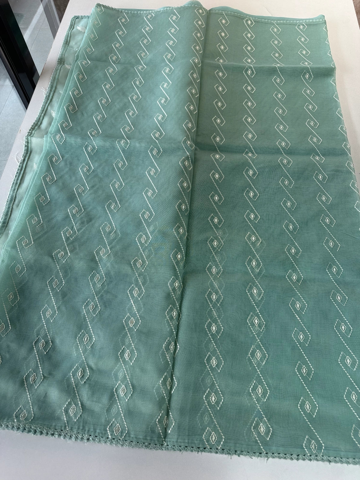 Chanderi Tissue saree/ BLD110