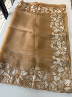 Glass Organza Saree/ CW493