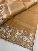 Glass Organza Saree/ CW493
