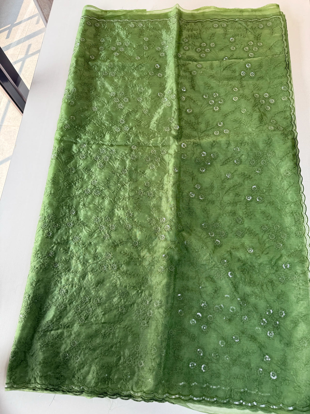 Soft Organza saree /CW239