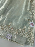 Tissue Organza Saree/ SA001