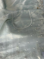 Tissue Organza Saree/ SA001