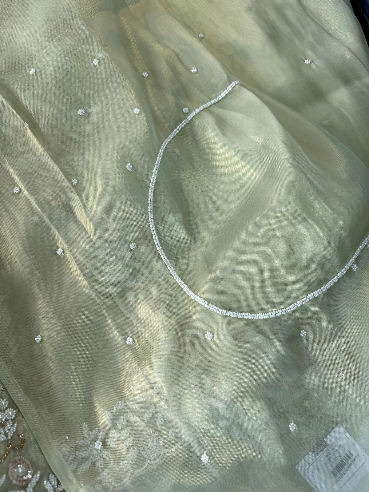 Tissue Organza Saree/ SA001