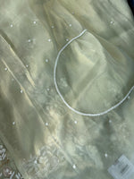 Tissue Organza Saree/ SA001