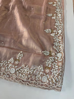 Tissue Organza Saree/ SA001