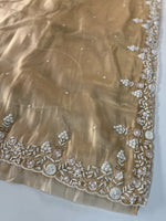 Tissue Organza Saree/ SA001