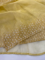 Soft Organza Saree/ CW533