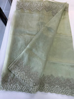 Glass Organza Saree/ N247