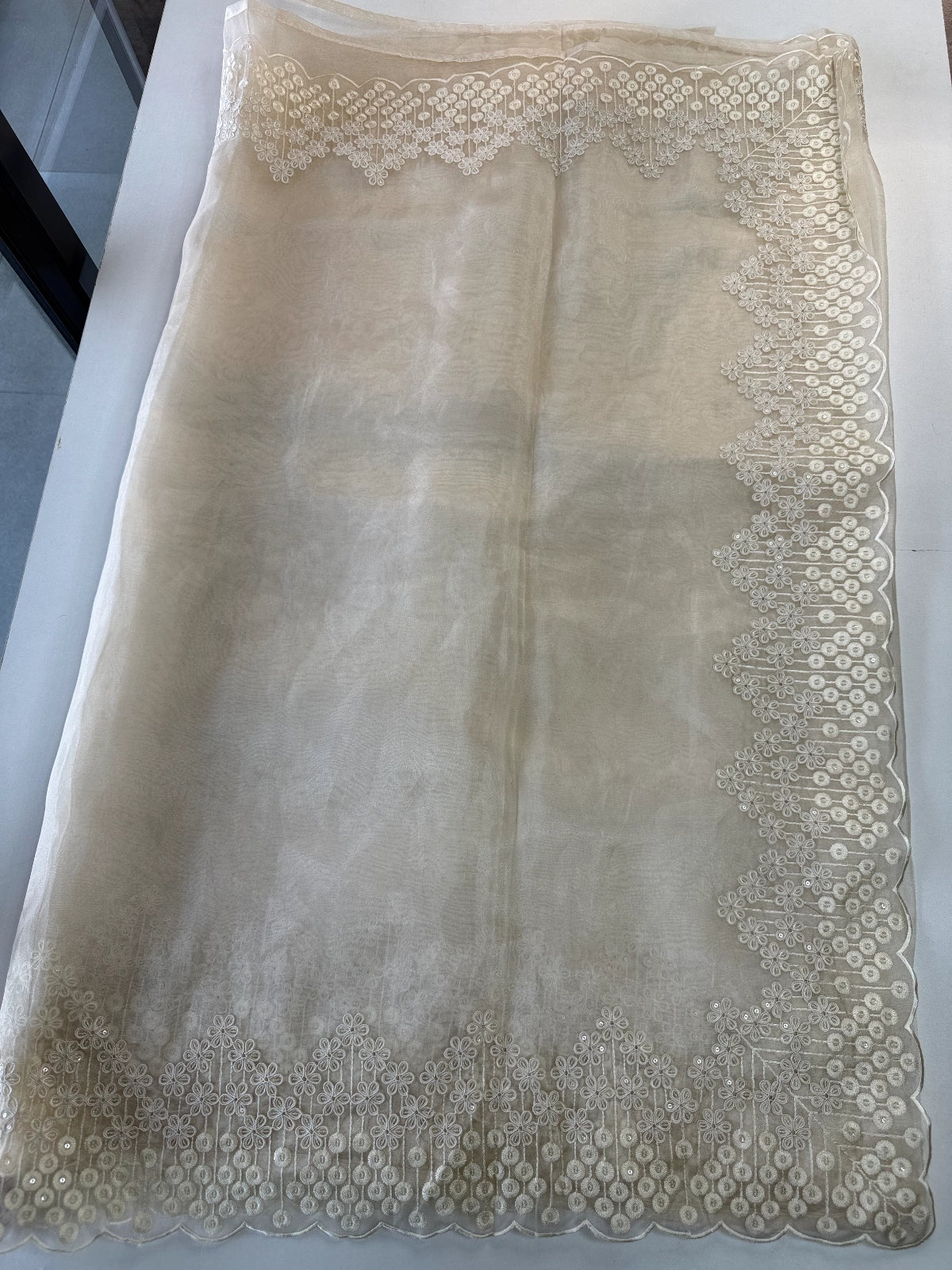 Glass Organza Saree/ N247