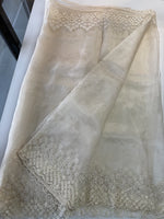 Glass Organza Saree/ N247
