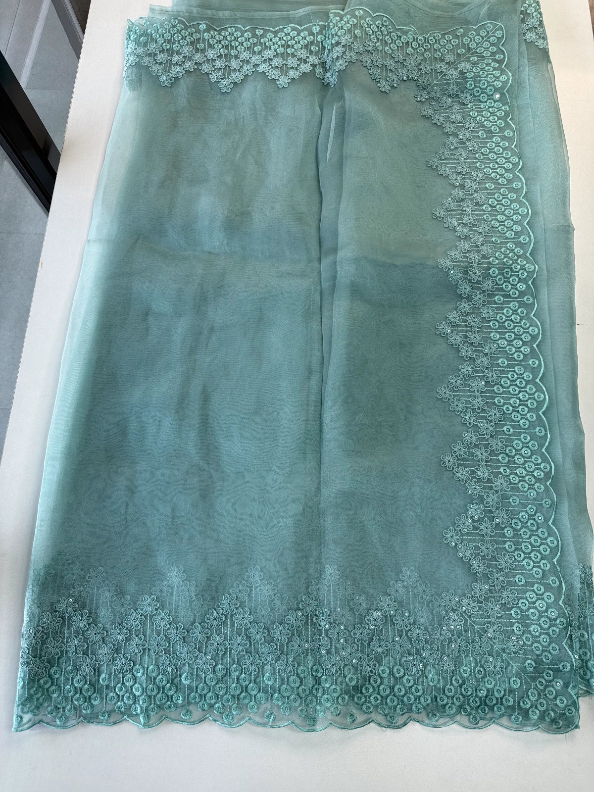 Glass Organza Saree/ N247