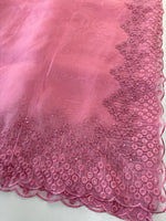 Glass Organza Saree/ N247