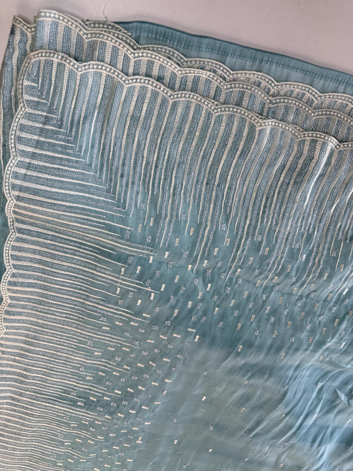 Tissue Organza Saree/ CW367