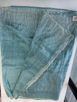 Tissue Organza Saree/ CW367
