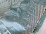 Tissue Organza Saree/ CW367