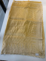 Tissue Organza Saree/ CW367